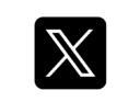 X Icon