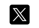 X Icon